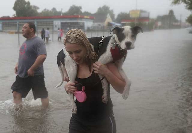 This woman carried her dog out of the flooding on her shoulders while wading through the waters.