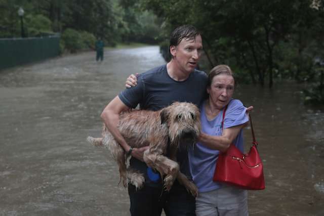 Here, a young man carries a soaking wet dog while supporting an older woman as they brave the flood waters together.
