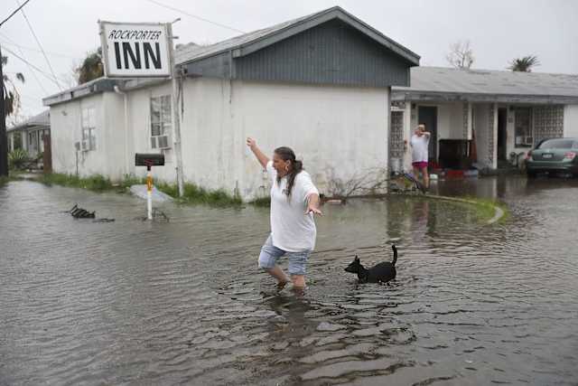 A dog follows his human as she wades through the treacherous waters in an attempt to get to safety.
