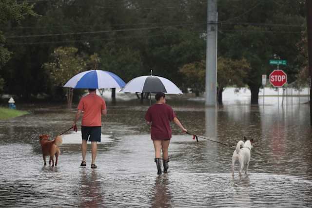 This family of four makes its way through the flood waters, umbrellas in hand, as if simply out for a walk on a drizzly day.