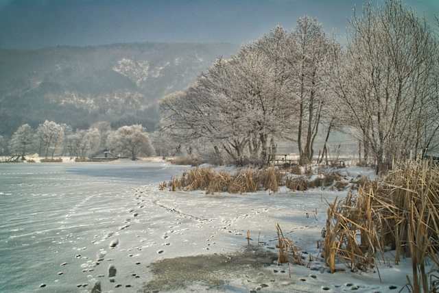 the definition that the met office uses to define a white christmas is for one snowflake to be observed falling in the 24 hours of december 25 somewhere in - What Is A White Christmas the definition that the met office uses to define a white christmas is for one snowflake to be observed falling in the 24 hours of december 25 somewhere in - What Is A White Christmas