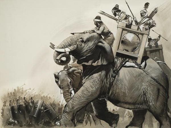 Битва у Фазиси: победа, принесенная слоном