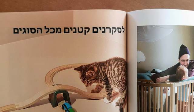 סקרנות! תכונה כל כך מוערכת כשהיא מופיעה אצל ילדים קטנים, אבל לאט לאט היא נעלמת מחיינו. כמה נדיר למצוא מבוגרים שעדיין מגלים סקרנות ופליאה מחוויות היומיום... אצל מי היא קיימת? אצל ממציאים, יזמים, חוקרים... כל אלו שהמערכת לא הצליחה לבלבל אותם.