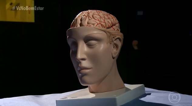 Depressão não tem idade. Situações de estresse e acontecimentos traumáticos podem modificar os genes e colaborar para desencadear a doença. Quando há uma diminuição da serotonina, um neurotransmissor essencial na comunicação entre os neurônios, e que ajuda a produzir sensações de bem estar, toda a transmissão de impulsos elétricos fica prejudicada e com o tempo começam a aparecer reações em cadeia. Entenda mais sobre as manifestações e sinais da doença.