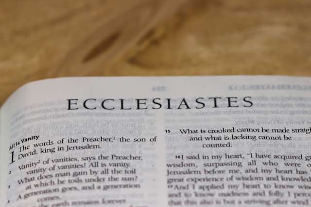 "Vanity of vanities! All is vanity." The book of Ecclesiastes provides a potent reflection on how this world and all its pleasures are passing away. It reminds us that while we may enjoy this life, it is nothing compared to the life to come.