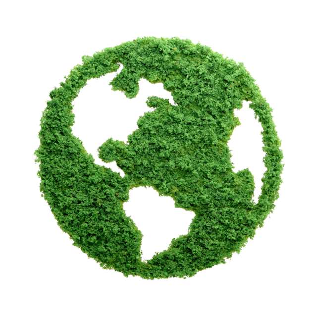 Es importante que se creen iniciativas para que se impulse la cosecha económica y ecológica sustentable que no se deriven de productos madereros, reconociendo que los bosques tropicales y antiguos son recursos no renovables. También hay que exigir a los Gobiernos de los diversos países que se empleen prácticas responsables y supervisadas para que la tala forestal comercial y su reforestación no sean de alto impacto para el planeta.