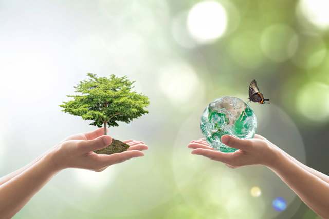 Repoblar espacios talados de árboles nuevo trae grandes beneficios a la humanidad, entre los principales producen oxígeno, purifican el aire, generan suelos fértiles, evitan la erosión, mantiene limpios los ríos, sirven como el refugio de la fauna, reducen la temperatura del suelo, entre otros, por estas razones es importantes exigirle a las autoridades que cada espacio talado se convierta en un espacio reforestado.