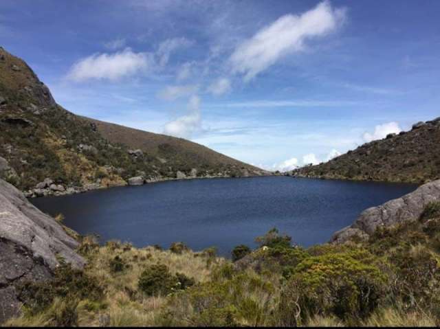 Esto se debe a que permiten la transformación de la neblina en recurso hídrico que a su vez genera el nacimiento de lagos, ríos y, por ende, el abastecimiento de los embalses. Cerca del 70 % de la provisión del líquido de este país depende de nuestros complejos de páramo.