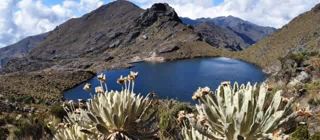 Los páramos en Colombia ocupan una superficie cercana al 3 por ciento (29.000 km²) del área continental del territorio nacional, sin embargo, representa el 50 por ciento de los páramos del mundo. Solo media docena de países en el planeta tienen el privilegio de contar con ecosistemas de páramo.