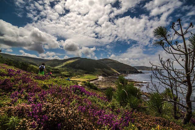 De Malpica a Fisterra (A Coruña).  É unha das grandes rutas marítimas con máis de 200 quilómetros de percorrido. Os puntos principais polos que discorre son Malpica, Niñóns, Ponteceso, Laxe, Arou, Camariñas, Muxía, Nemiña e Fisterra.