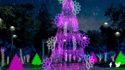 El Parque Nacional está iluminado con un gran árbol de navidad y luces LED. A partir del 16 de diciembre, en época de novenas, habrá "Novena ConSentida", con actividades de entrada libre para toda la familia, comparsas, actores, cuentos, artistas invitados y conciertos.