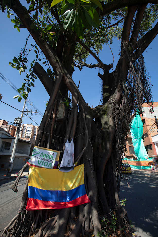 Foto: cortesía.