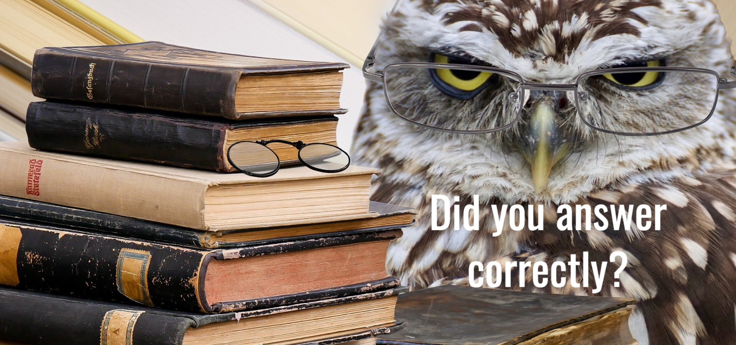 Download What Types Of Books Do Owls Like To Read