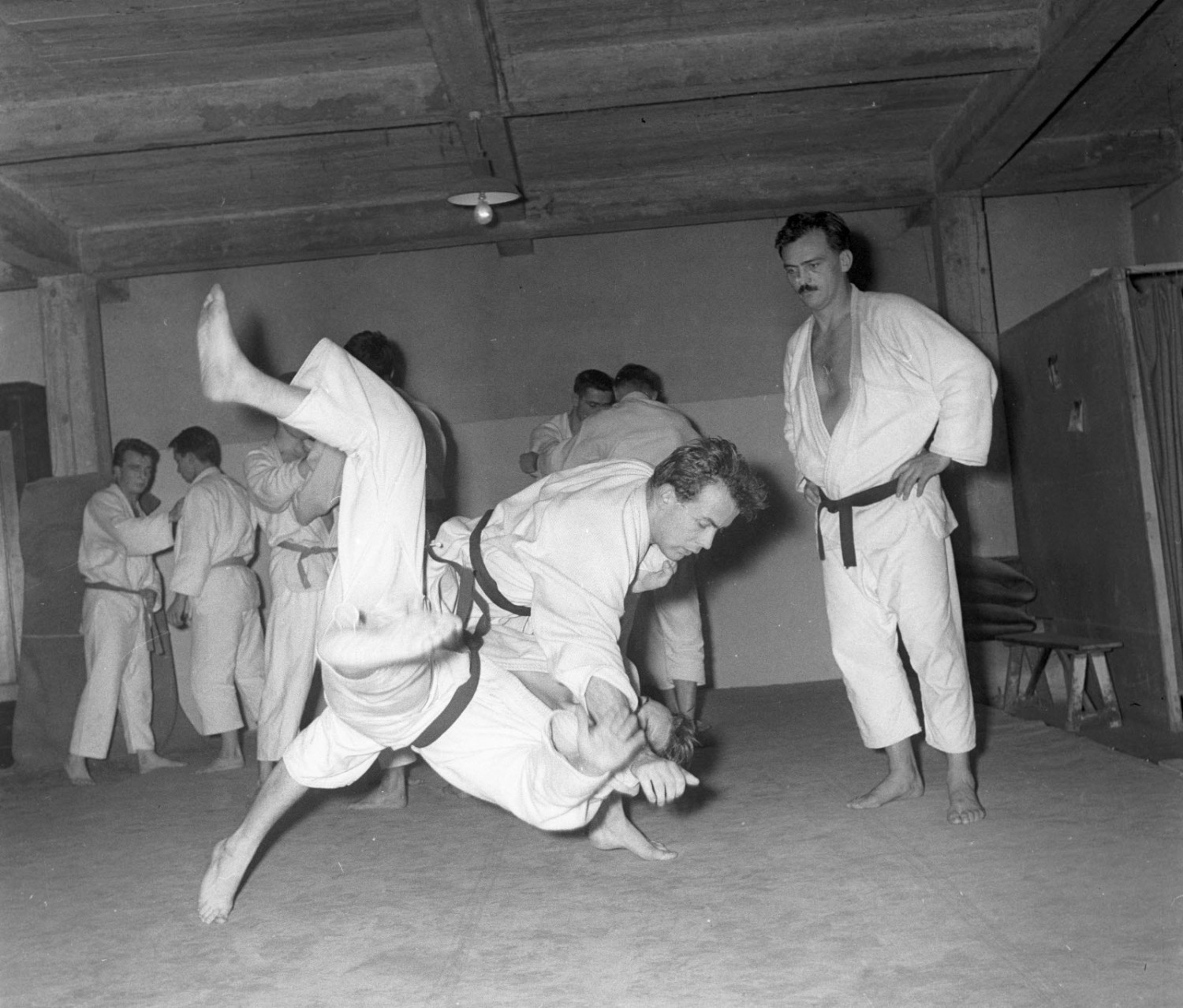 Le 10 novembre 1959...